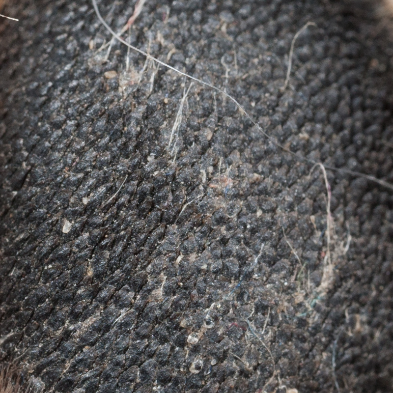 Whatsit 2013-08-02_2