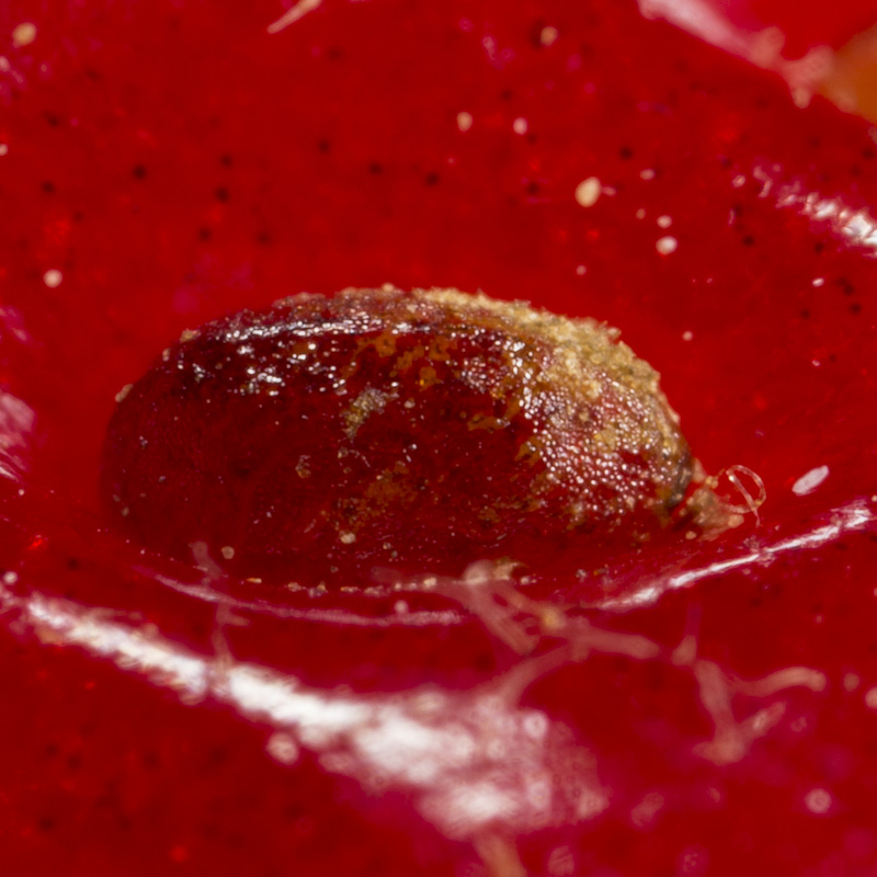 Whatsit 2014-05-12_1
