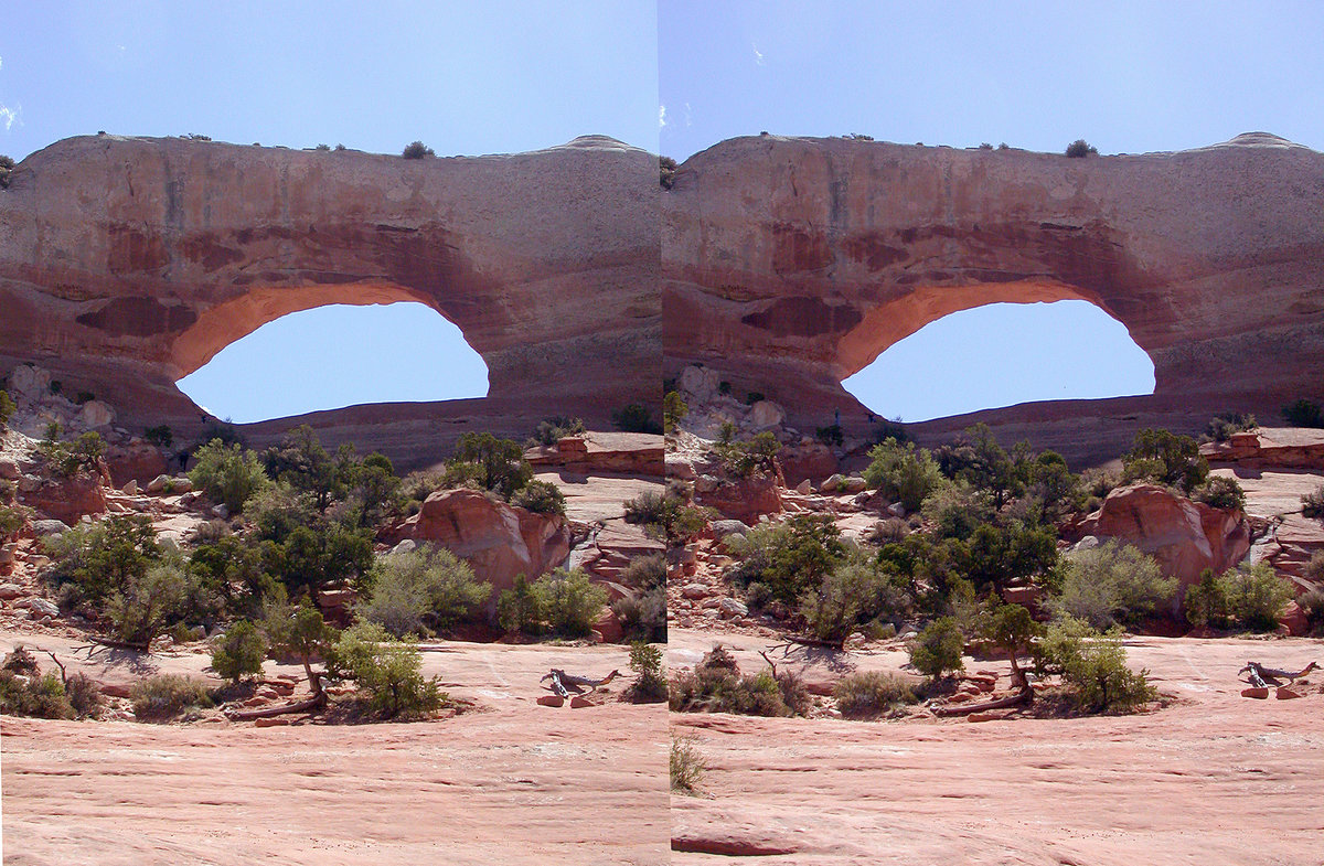 Wilson Arch Stereo Web