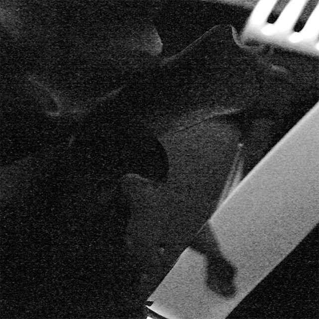 1Ds II Banding Blue.jpg