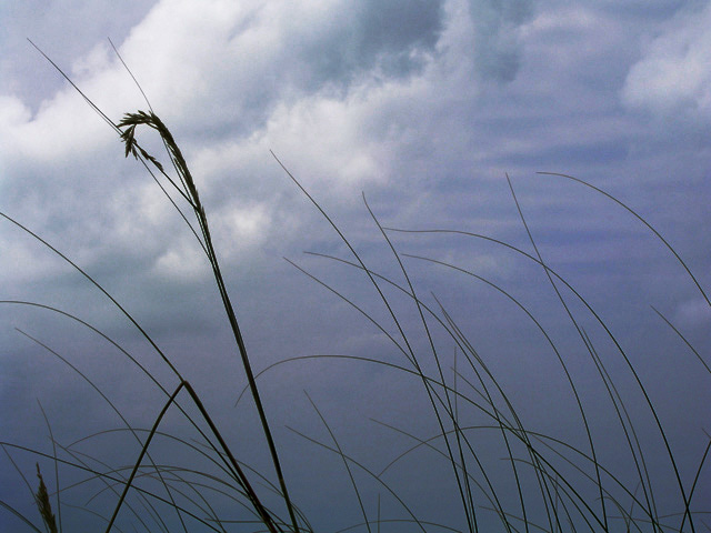 P3140153222_Edited_by_kirbic.jpg