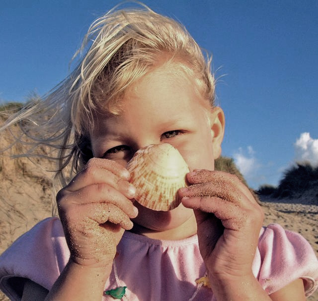 Seashell_edited.jpg