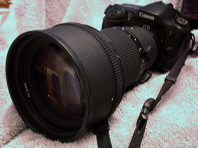 DSCN3806.jpg