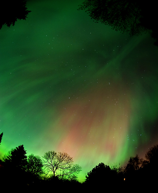 Aurora_7779.jpg