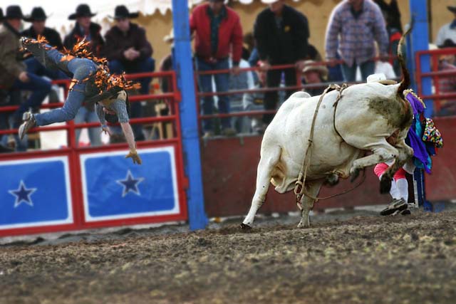 Rodeo_cvt.jpg
