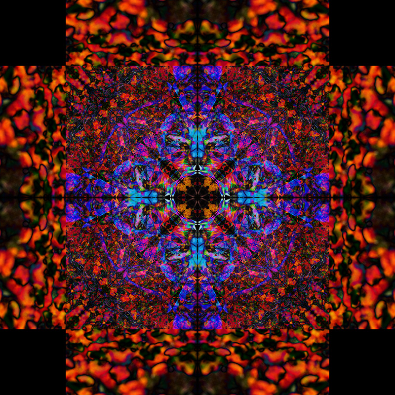 IMG_6157 Flip-Blend_800.jpg