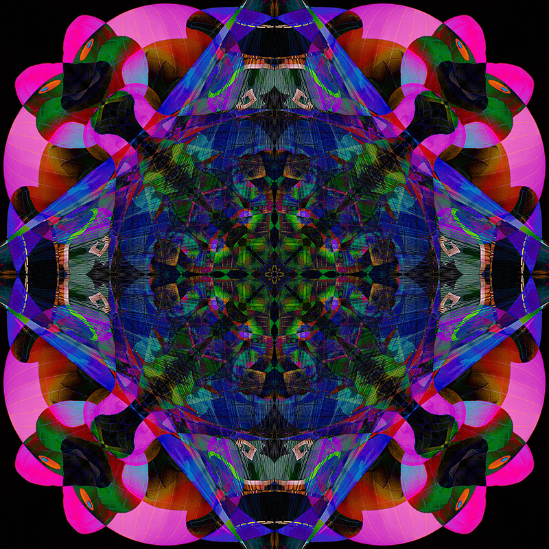 IMG_4903 Flip-Blend_800.jpg