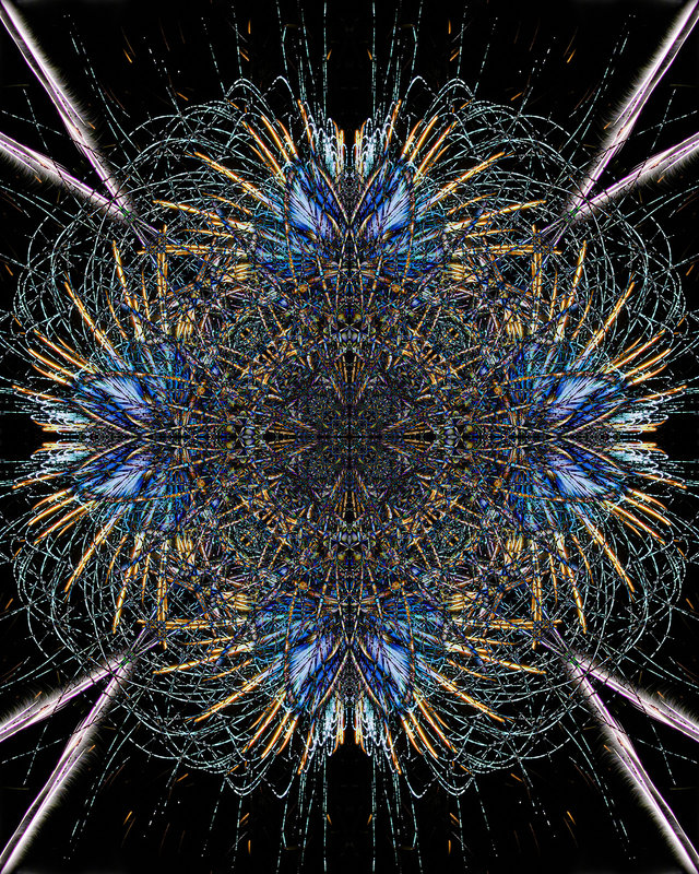 IMG_5969 Flip-Blend_altcolor_1600.jpg