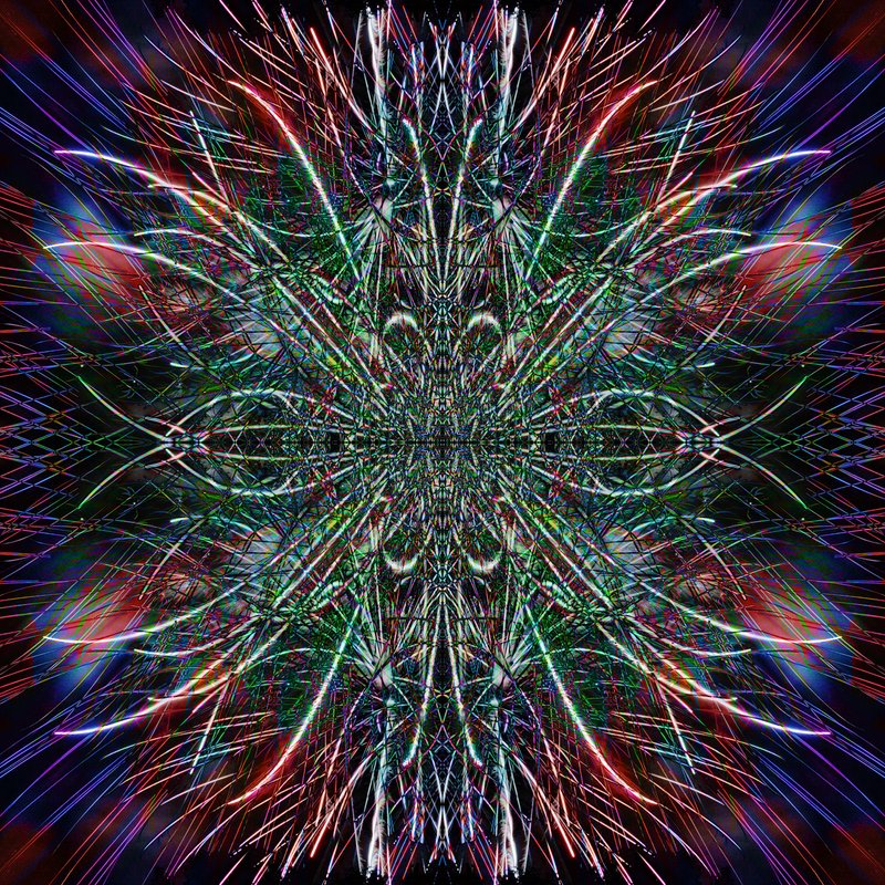 IMG_1582 Flip-Blend ALt1_1600.jpg