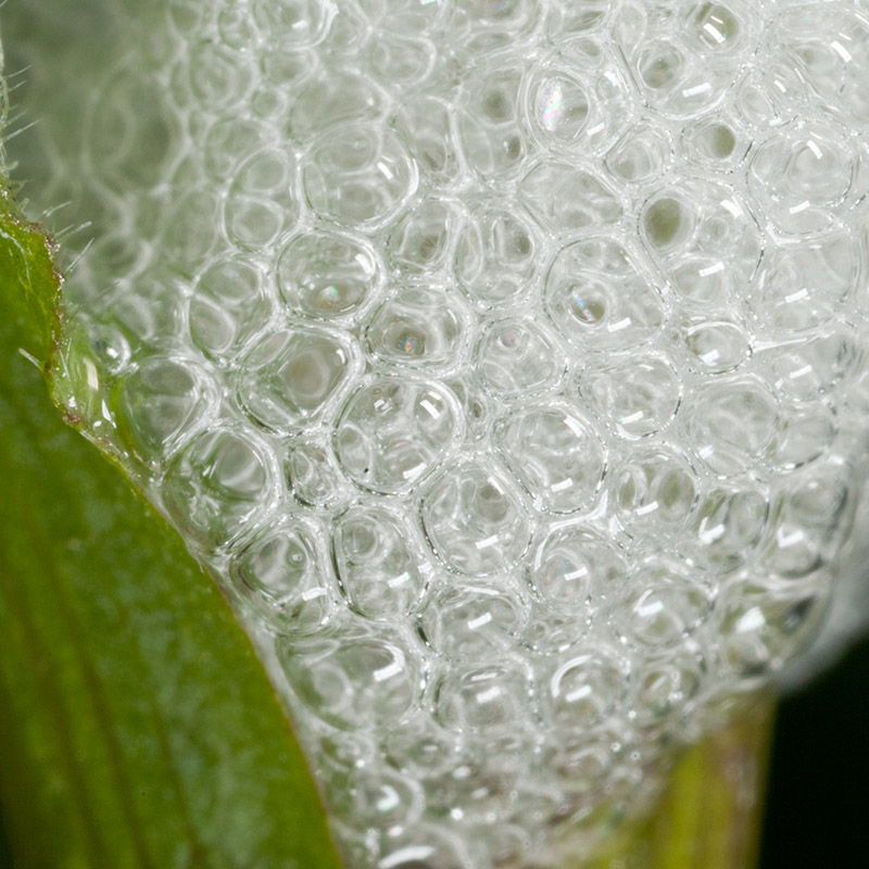 Whatsit 2012-01-17_1