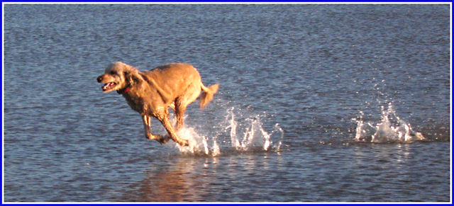 OnTheWater.JPG