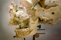 Jawbone