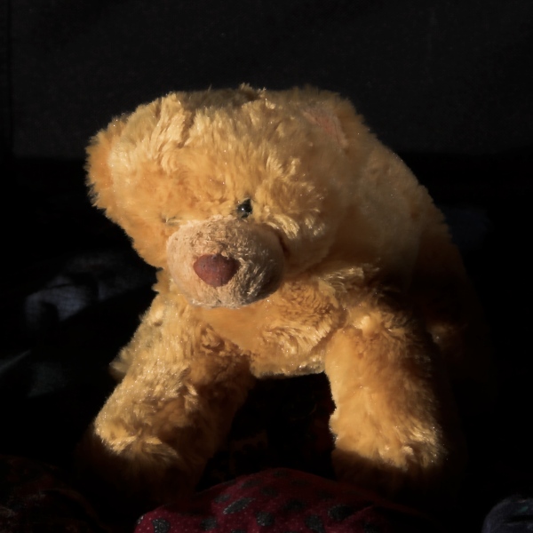 CRW_2684-01-web.jpg
