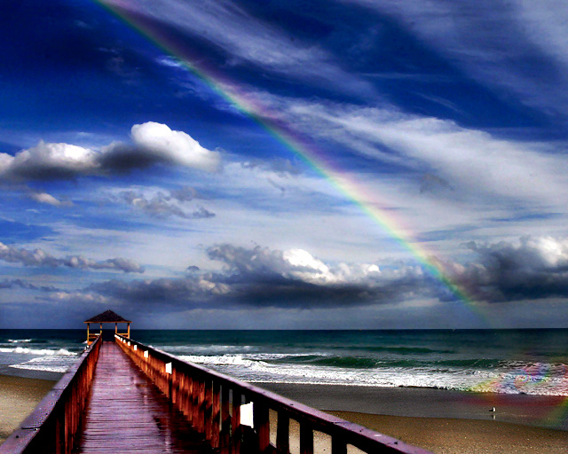 after the rain II