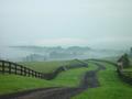 View from the Hill.jpg