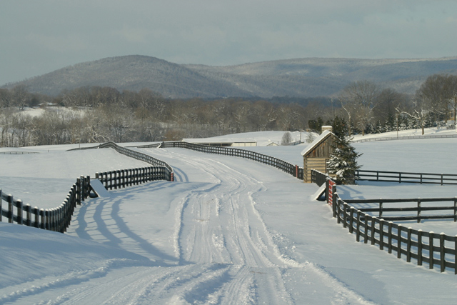 Snowy View.jpg