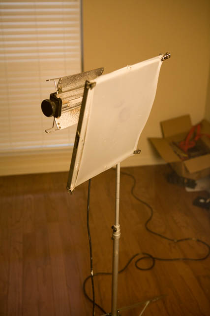 lights-0115.jpg