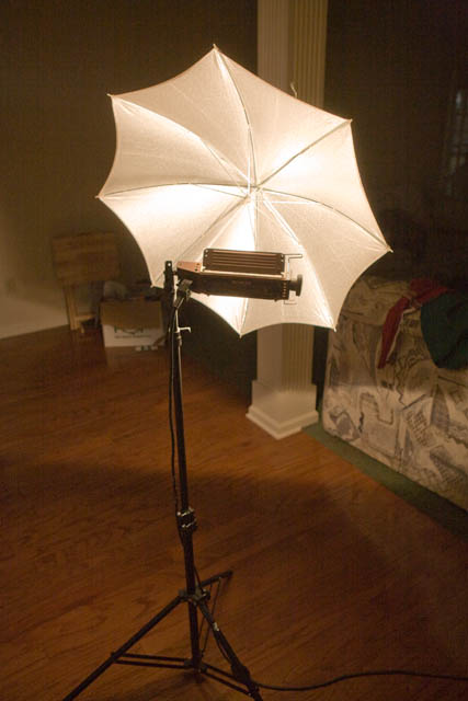 lights-0116.jpg
