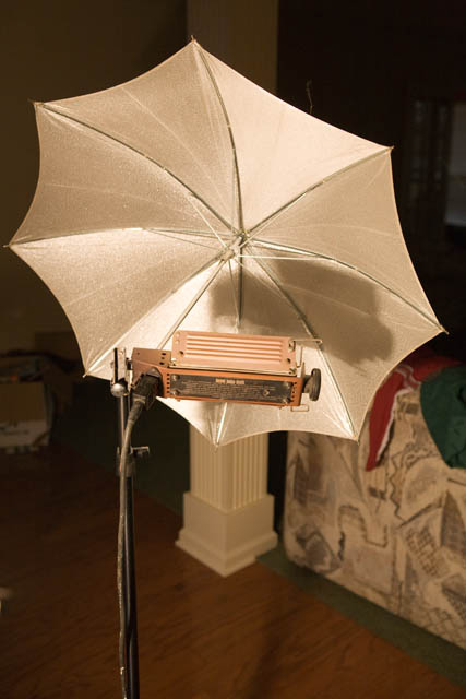 lights-0118.jpg