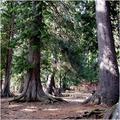 Lakelse Lake Picnic Site