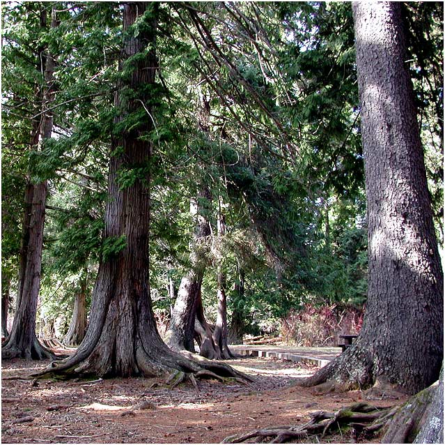 Lakelse Lake Picnic Site