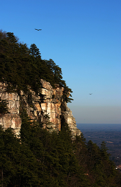 Pilot Mt.