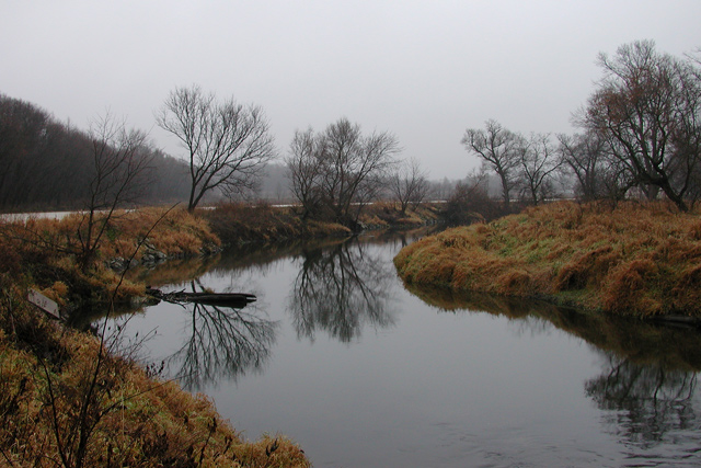 Gray November Morning