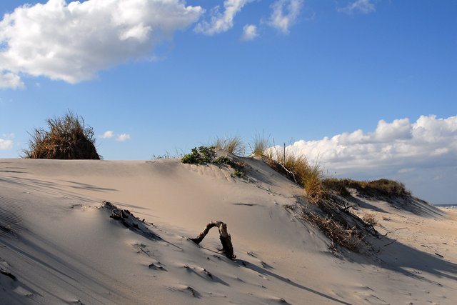 OBX Beach Dunes