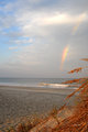 OBX Rainbow