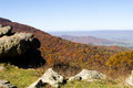 Shenandoah Vally