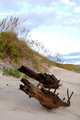 Shipwreck II