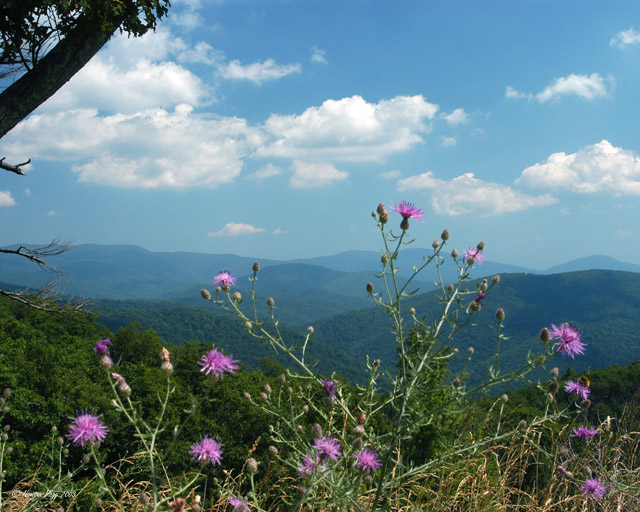 Virginia's  Hills
