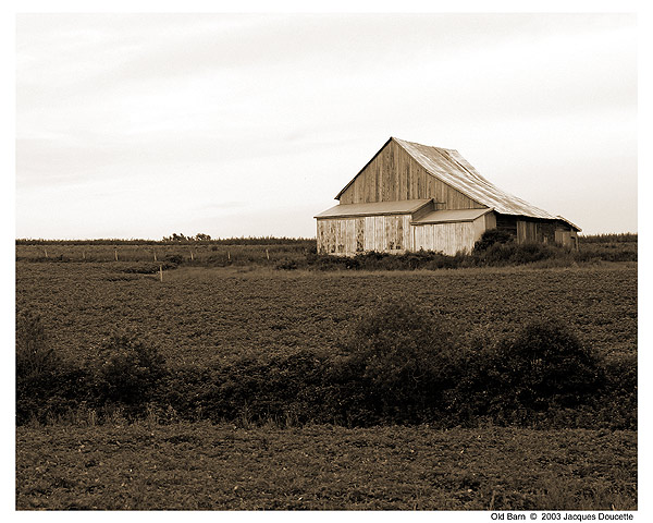 Old Barn