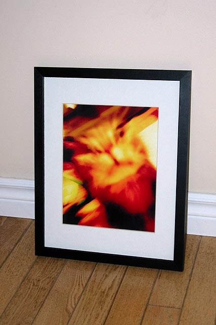 Angry Kitty Framed.jpg