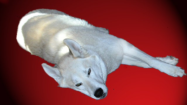 willowonredb.jpg