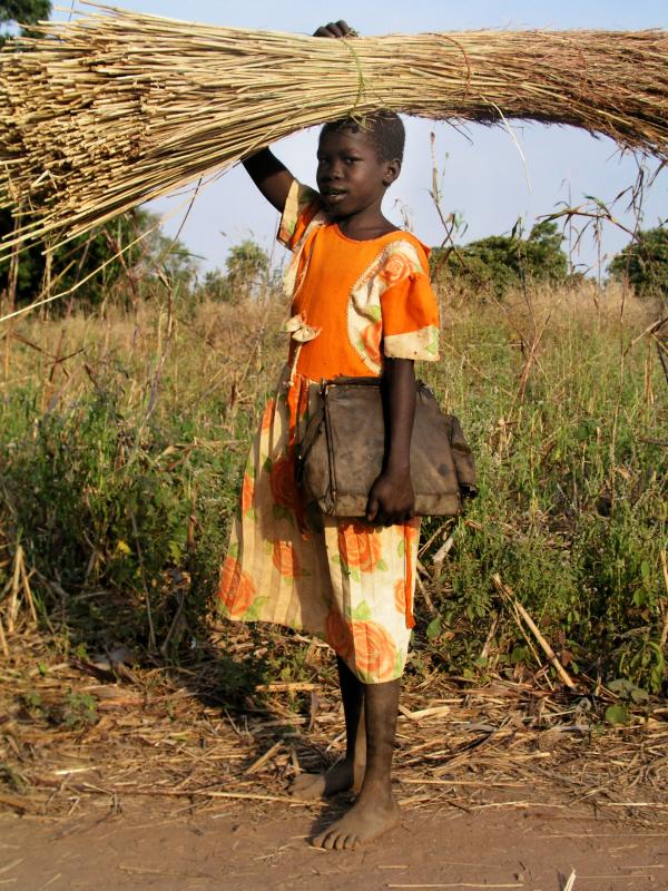 Sudanese Girl carries grass to school.