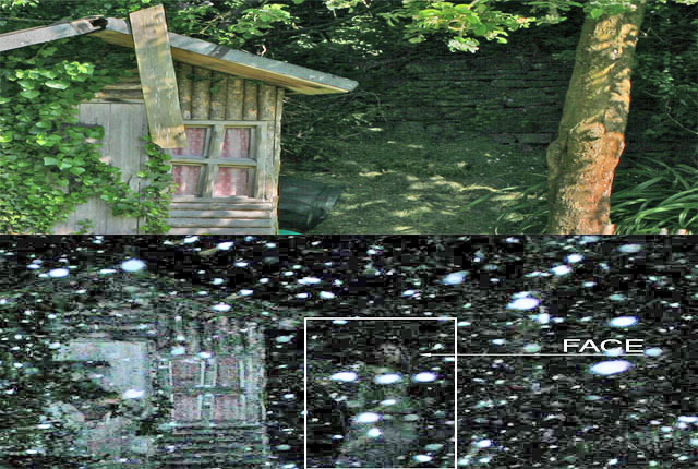 compare.jpg