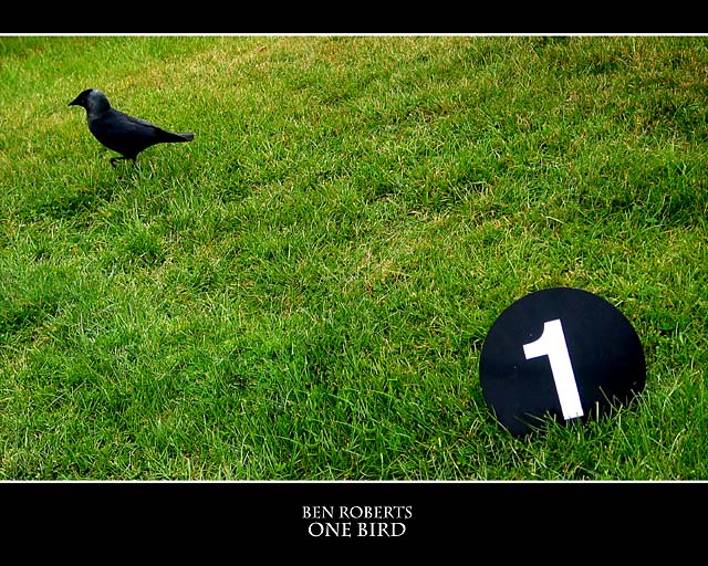 One Bird