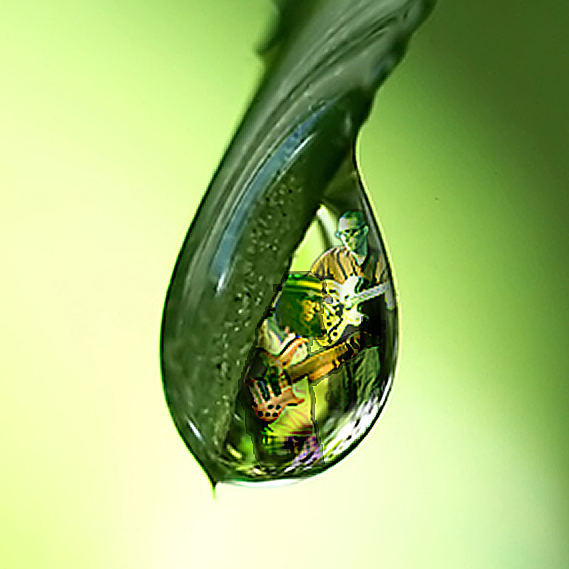 drop.jpg