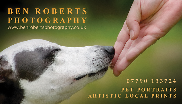 Business Card Design