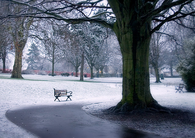 Bristol Winter
