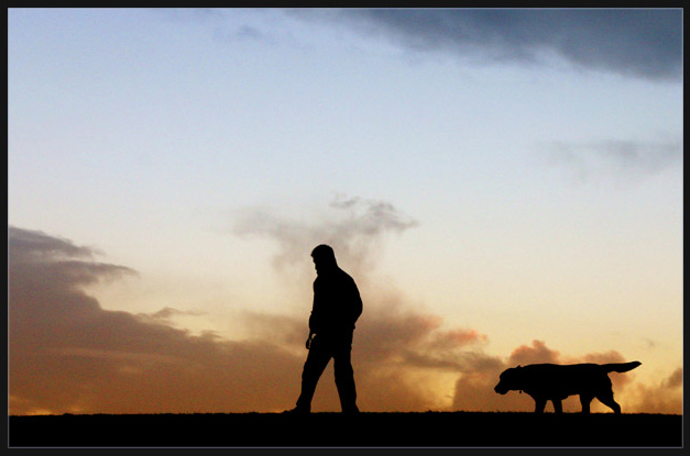 Evening Stroll
