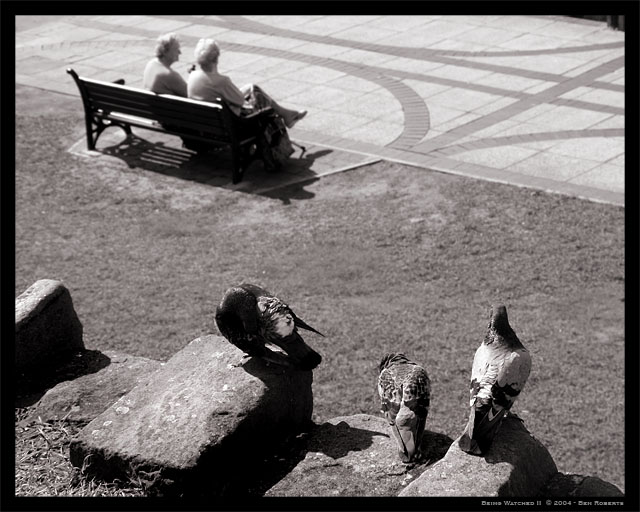 Being Watched II