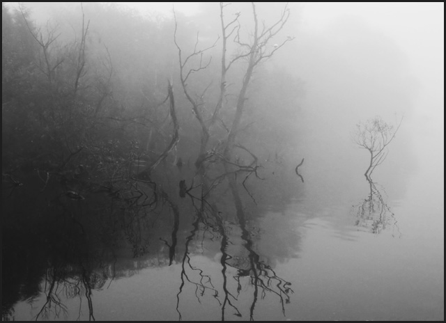 mistymorning1.jpg