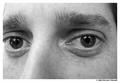 Eyes 1001