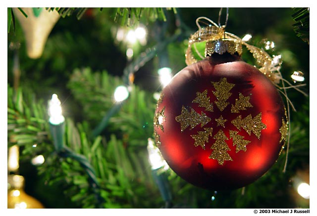 Christmas Wonder