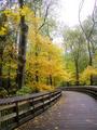 Curved Path