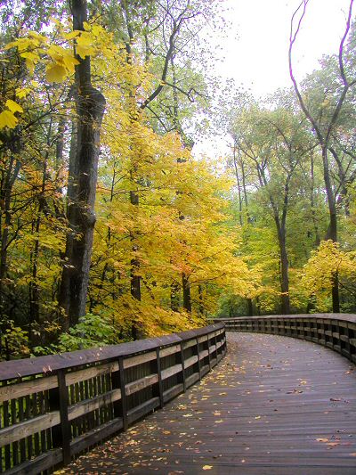 Curved Path
