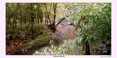 Autumn Stream