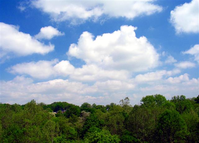 Beautiful Day
